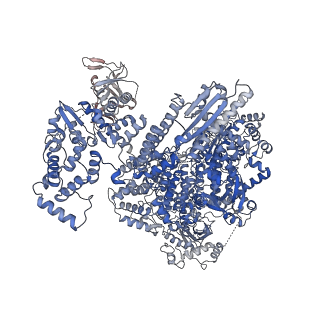 18391_8qgu_B_v1-0
Apo Hantaan virus polymerase in dimeric state