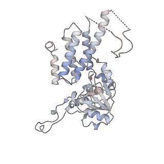 4543_6qg0_C_v1-2
Structure of eIF2B-eIF2 (phosphorylated at Ser51) complex (model 1)