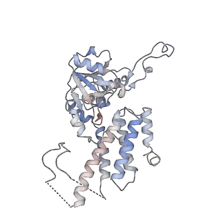 4543_6qg0_D_v1-2
Structure of eIF2B-eIF2 (phosphorylated at Ser51) complex (model 1)