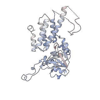 4544_6qg1_C_v1-2
Structure of eIF2B-eIF2 (phosphorylated at Ser51) complex (model 2)