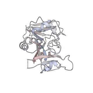 4544_6qg1_E_v1-2
Structure of eIF2B-eIF2 (phosphorylated at Ser51) complex (model 2)