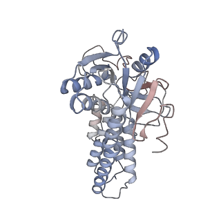 4544_6qg1_G_v1-2
Structure of eIF2B-eIF2 (phosphorylated at Ser51) complex (model 2)