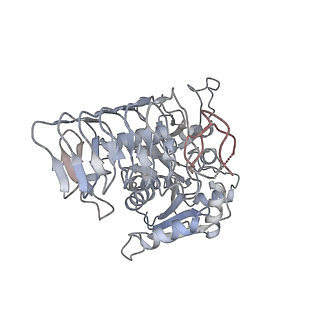 4544_6qg1_J_v1-2
Structure of eIF2B-eIF2 (phosphorylated at Ser51) complex (model 2)