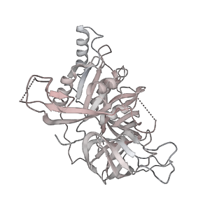 4544_6qg1_N_v1-2
Structure of eIF2B-eIF2 (phosphorylated at Ser51) complex (model 2)