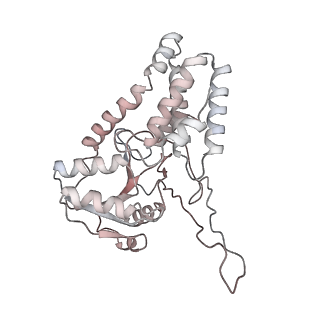 4545_6qg2_B_v1-2
Structure of eIF2B-eIF2 (phosphorylated at Ser51) complex (model A)