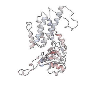 4545_6qg2_C_v1-2
Structure of eIF2B-eIF2 (phosphorylated at Ser51) complex (model A)