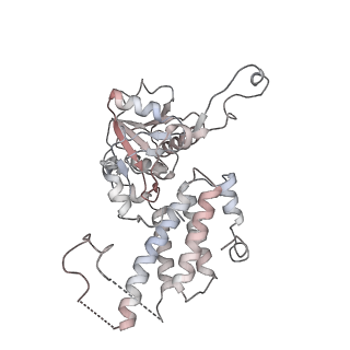 4545_6qg2_D_v1-2
Structure of eIF2B-eIF2 (phosphorylated at Ser51) complex (model A)