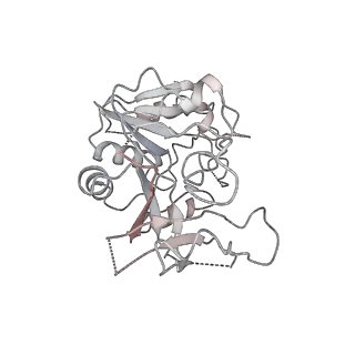 4545_6qg2_E_v1-2
Structure of eIF2B-eIF2 (phosphorylated at Ser51) complex (model A)