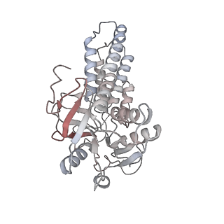 4545_6qg2_H_v1-2
Structure of eIF2B-eIF2 (phosphorylated at Ser51) complex (model A)