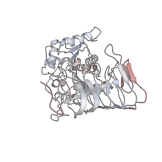 4545_6qg2_I_v1-2
Structure of eIF2B-eIF2 (phosphorylated at Ser51) complex (model A)