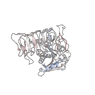 4545_6qg2_J_v1-2
Structure of eIF2B-eIF2 (phosphorylated at Ser51) complex (model A)
