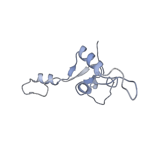 13965_7qh6_3_v1-0
Cryo-EM structure of the human mtLSU assembly intermediate upon MRM2 depletion - class 1