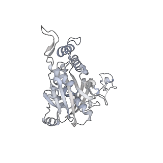 13965_7qh6_5_v1-0
Cryo-EM structure of the human mtLSU assembly intermediate upon MRM2 depletion - class 1