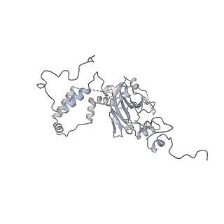 13965_7qh6_6_v1-0
Cryo-EM structure of the human mtLSU assembly intermediate upon MRM2 depletion - class 1