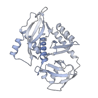 13965_7qh6_7_v1-0
Cryo-EM structure of the human mtLSU assembly intermediate upon MRM2 depletion - class 1