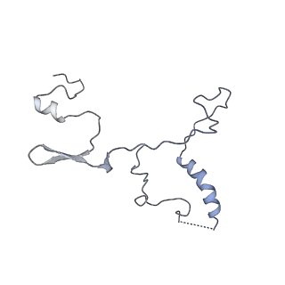 13965_7qh6_9_v1-0
Cryo-EM structure of the human mtLSU assembly intermediate upon MRM2 depletion - class 1