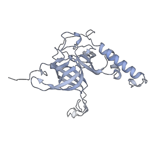 13965_7qh6_E_v1-0
Cryo-EM structure of the human mtLSU assembly intermediate upon MRM2 depletion - class 1