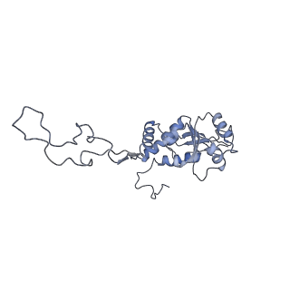 13965_7qh6_F_v1-0
Cryo-EM structure of the human mtLSU assembly intermediate upon MRM2 depletion - class 1