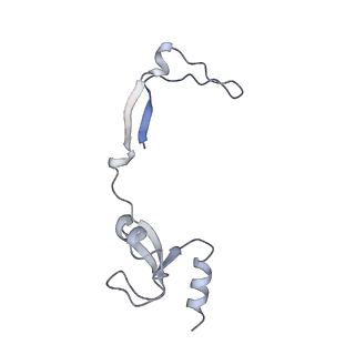 13965_7qh6_H_v1-0
Cryo-EM structure of the human mtLSU assembly intermediate upon MRM2 depletion - class 1