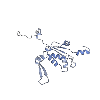 13965_7qh6_K_v1-0
Cryo-EM structure of the human mtLSU assembly intermediate upon MRM2 depletion - class 1