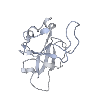13965_7qh6_L_v1-0
Cryo-EM structure of the human mtLSU assembly intermediate upon MRM2 depletion - class 1