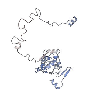 13965_7qh6_M_v1-0
Cryo-EM structure of the human mtLSU assembly intermediate upon MRM2 depletion - class 1
