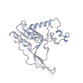 13965_7qh6_N_v1-0
Cryo-EM structure of the human mtLSU assembly intermediate upon MRM2 depletion - class 1