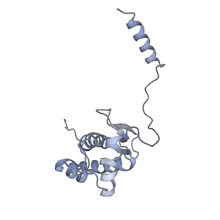 13965_7qh6_O_v1-0
Cryo-EM structure of the human mtLSU assembly intermediate upon MRM2 depletion - class 1