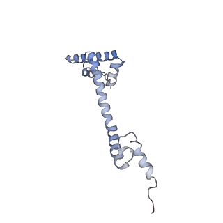 13965_7qh6_R_v1-0
Cryo-EM structure of the human mtLSU assembly intermediate upon MRM2 depletion - class 1