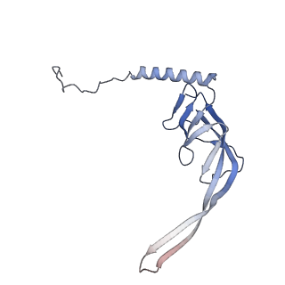 13965_7qh6_S_v1-0
Cryo-EM structure of the human mtLSU assembly intermediate upon MRM2 depletion - class 1