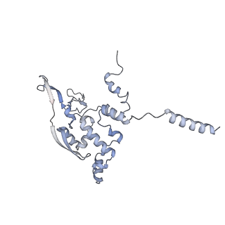 13965_7qh6_X_v1-0
Cryo-EM structure of the human mtLSU assembly intermediate upon MRM2 depletion - class 1