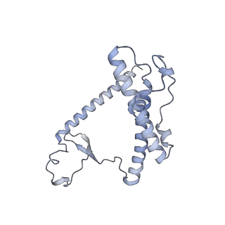 13965_7qh6_Y_v1-0
Cryo-EM structure of the human mtLSU assembly intermediate upon MRM2 depletion - class 1