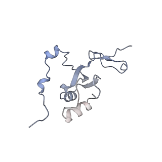 13965_7qh6_Z_v1-0
Cryo-EM structure of the human mtLSU assembly intermediate upon MRM2 depletion - class 1
