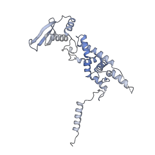 13965_7qh6_c_v1-0
Cryo-EM structure of the human mtLSU assembly intermediate upon MRM2 depletion - class 1