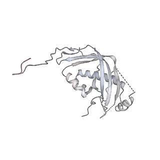 13965_7qh6_d_v1-0
Cryo-EM structure of the human mtLSU assembly intermediate upon MRM2 depletion - class 1
