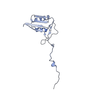 13965_7qh6_g_v1-0
Cryo-EM structure of the human mtLSU assembly intermediate upon MRM2 depletion - class 1