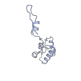 13965_7qh6_h_v1-0
Cryo-EM structure of the human mtLSU assembly intermediate upon MRM2 depletion - class 1