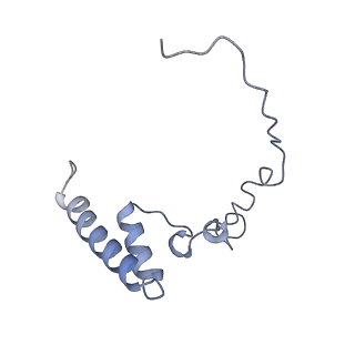 13965_7qh6_i_v1-0
Cryo-EM structure of the human mtLSU assembly intermediate upon MRM2 depletion - class 1