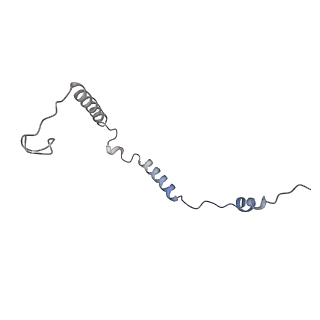 13965_7qh6_o_v1-0
Cryo-EM structure of the human mtLSU assembly intermediate upon MRM2 depletion - class 1