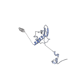 13965_7qh6_p_v1-0
Cryo-EM structure of the human mtLSU assembly intermediate upon MRM2 depletion - class 1