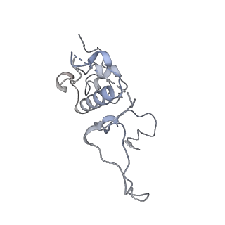 13965_7qh6_r_v1-0
Cryo-EM structure of the human mtLSU assembly intermediate upon MRM2 depletion - class 1