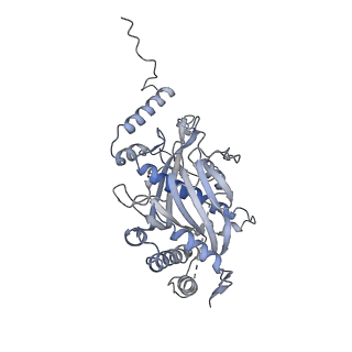 13965_7qh6_s_v1-0
Cryo-EM structure of the human mtLSU assembly intermediate upon MRM2 depletion - class 1