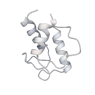 13965_7qh6_w_v1-0
Cryo-EM structure of the human mtLSU assembly intermediate upon MRM2 depletion - class 1