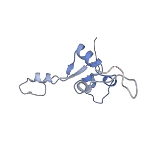 13967_7qh7_3_v1-0
Cryo-EM structure of the human mtLSU assembly intermediate upon MRM2 depletion - class 4