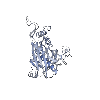 13967_7qh7_5_v1-0
Cryo-EM structure of the human mtLSU assembly intermediate upon MRM2 depletion - class 4