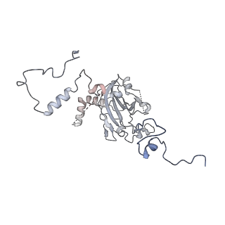 13967_7qh7_6_v1-0
Cryo-EM structure of the human mtLSU assembly intermediate upon MRM2 depletion - class 4