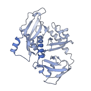 13967_7qh7_7_v1-0
Cryo-EM structure of the human mtLSU assembly intermediate upon MRM2 depletion - class 4
