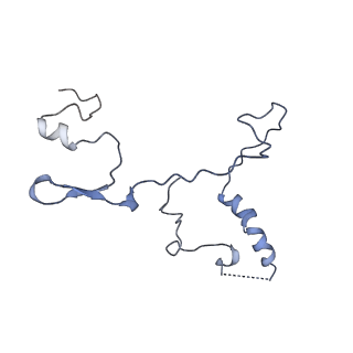 13967_7qh7_9_v1-0
Cryo-EM structure of the human mtLSU assembly intermediate upon MRM2 depletion - class 4