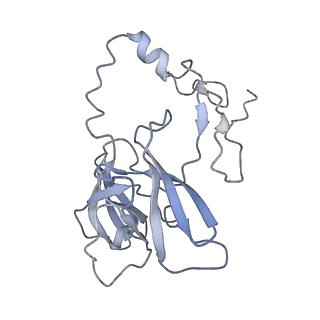 13967_7qh7_D_v1-0
Cryo-EM structure of the human mtLSU assembly intermediate upon MRM2 depletion - class 4