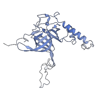 13967_7qh7_E_v1-0
Cryo-EM structure of the human mtLSU assembly intermediate upon MRM2 depletion - class 4